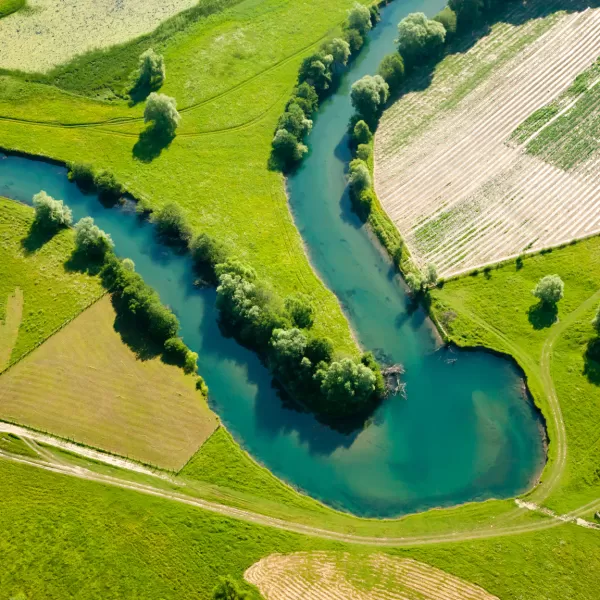 Farmland